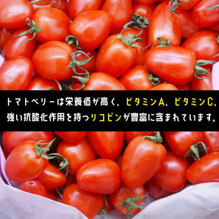 【ふるさと納税】トマトベリー 1kg / トマト 野菜 サラダ ミニトマト プチトマト / 南島原市 / 長崎県農産品流通合同会社[SCB029]