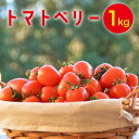 1位! 口コミ数「0件」評価「0」トマトベリー 1kg / トマト 野菜 サラダ ミニトマト プチトマト / 南島原市 / 長崎県農産品流通合同会社[SCB029]