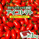 【ふるさと納税】アイコトマト 約1kg