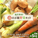 【ふるさと納税】【2025年5月下旬〜発送】【先行予約!】春の万能野菜セット 約5kg / じゃがいも ジャガイモ たまねぎ 玉ねぎ タマネギ にんじん 人参 ...