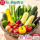 【ふるさと納税】【12回定期便】毎月連続お届け 旬の新鮮 野菜詰め合わせセット(10品〜12品)/ 野菜定期便 やさい定期便 野菜セット やさいセット 春野菜 ...