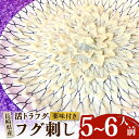 【ふるさと納税】【長崎県産】活トラフグ フグ刺し (5〜6人前) / 南島原市 / ながいけ [SCH031]