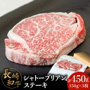 【ふるさと納税】【内閣総理大臣賞！】長崎和牛 シャトーブリアンステーキ 150g×3枚 計450g / 牛肉 和牛 シャトーブリアン ステーキ / 南島原市 / ながいけ[SCH035]