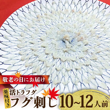 【敬老の日にお届け！】活トラフグ フグ刺し Wセット（10～12人前） / ふぐ 刺身 南島原市 / ながいけ[SCH070]