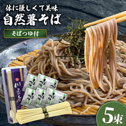 手延べ 自然薯そば 250g（2〜3人前）蕎麦つゆ セット / 蕎麦 そば 自然薯 / 南島原市 / 川上製麺 [SCM020]