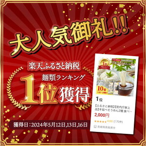 【ふるさと納税】【宮内庁献上品】手延べそうめん2種 食べ比べ 10束 / 手延べ そうめん ・九州産小麦粉100％ 手延べそうめん / 島原そうめん 麺 素麺 詰め合わせ / 南島原市 / 川上製麺 [SCM040]