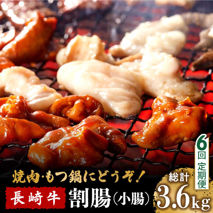 27位! 口コミ数「0件」評価「0」【6回定期便】長崎牛 割腸 (小腸) 焼肉・ホルモン鍋 用 600g / ホルモン 牛 もつ鍋 南島原市 / はなぶさ [SCN116]