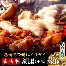 【ふるさと納税】【6回定期便】長崎牛 割腸 (小腸) 焼肉・ホルモン鍋 用 600g / ホルモン 牛 もつ鍋 南島原市 / はなぶさ [SCN116]