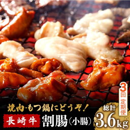 【ふるさと納税】【3回定期便】長崎牛 割腸 (小腸) 焼肉・ホルモン 鍋 用 1.2kg / ホルモン 牛 もつ鍋 南島原市 / はなぶさ [SCN118]