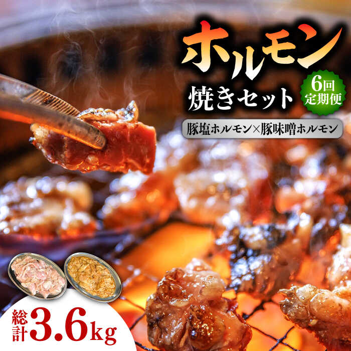 【ふるさと納税】【6回 定期便 】ホルモン 塩焼き・ニンニク味噌焼きセット 総計3.6kg / 肉 豚肉 直腸 豚テッポウ 希少部位 国産 / 南島原市 / はなぶさ [SCN138]