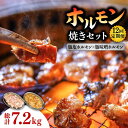 【ふるさと納税】【12回 定期便 】ホルモン 塩焼き・ニンニク味噌焼きセット 総計7.2kg / 肉 豚肉 直腸 豚テッポウ 希少部位 国産 / 南島原市 / はなぶさ [SCN139]