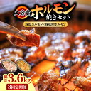 【ふるさと納税】【3回 定期便 】ホルモン 塩焼き・ニンニク味噌焼き 大容量セット 総計3.6kg / 肉 豚肉 直腸 豚テッポウ 希少部位 国産 / 南島原市 / はなぶさ [SCN141]