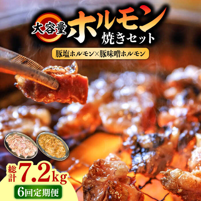 【ふるさと納税】【6回 定期便 】 ホルモン 塩焼き・ニンニク味噌焼き大容量セット 総計7.2kg / 肉 豚..