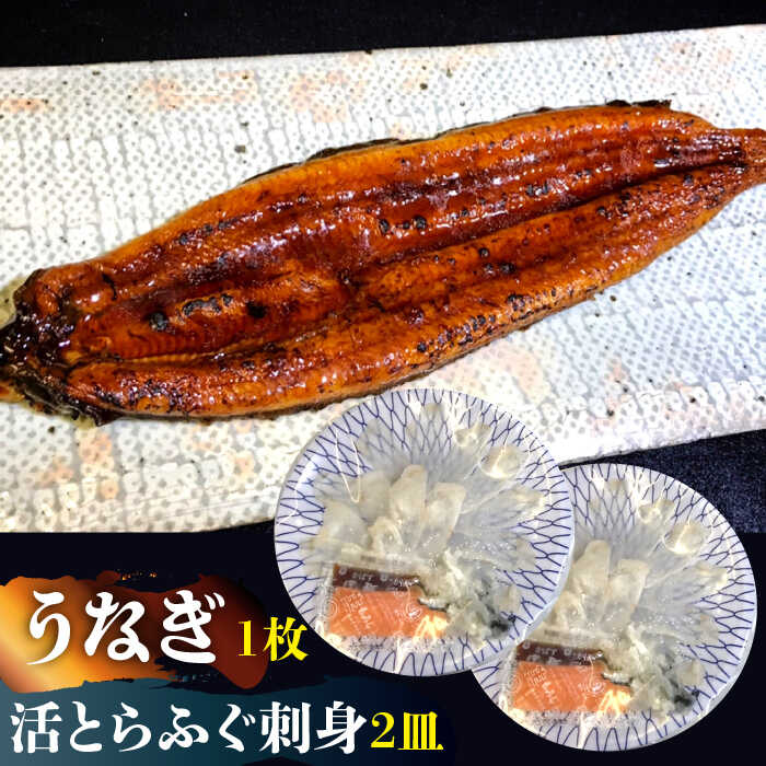 【ふるさと納税】【贅を尽くす！】活 とらふぐ 刺身 (2皿) うなぎ 蒲焼き (1枚) 贅沢 セット / ふぐ 河豚 フグ トラフグ ふぐ刺し うなぎ 鰻 / 南島原市 / はなぶさ [SCN032]