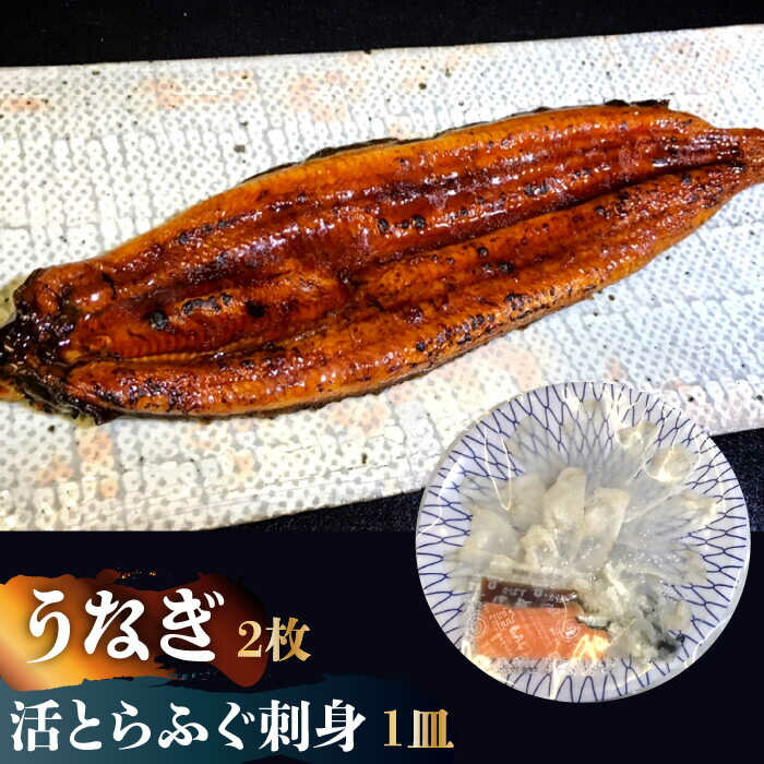 [贅を尽くす!]活 とらふぐ 刺身 (1皿) うなぎ 蒲焼き (2枚) 贅沢セット / ふぐ 河豚 フグ トラフグ ふぐ刺し うなぎ 鰻 / 南島原市 / はなぶさ [SCN033] 国