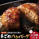 25位! 口コミ数「0件」評価「0」南島原手ごね ハンバーグ オリジナル ソース付き 150g×5個 / 手ごね おかず 冷凍 牛肉 豚肉 / 南島原市 / はなぶさ [SCN･･･ 