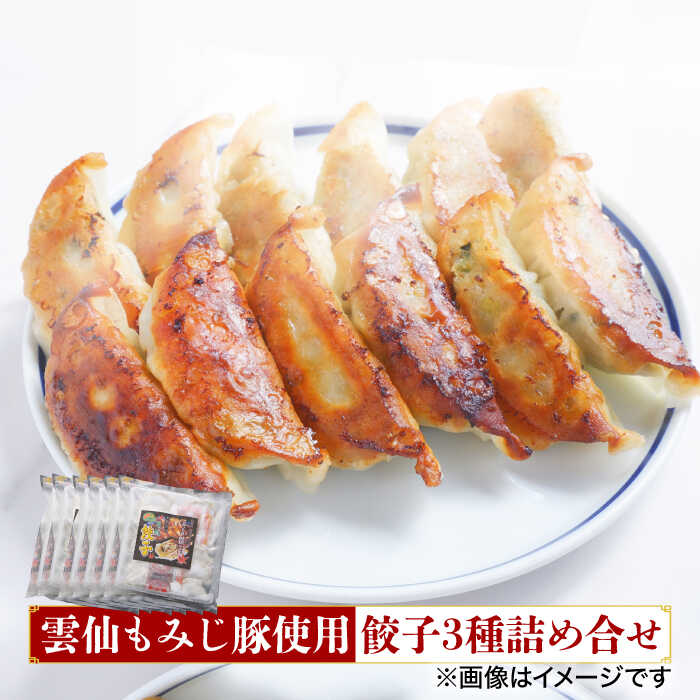 【雲仙もみじ豚使用】餃子 3種 詰め合せ / プレーン カレー バジル ぎょうざ / 南島原市 / はなぶさ [SCN067] 国産豚 惣菜 野菜