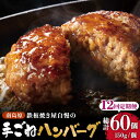 【ふるさと納税】【12回定期便】鉄板焼き屋自慢の手ごね ハンバーグ オリジナル ソース付き 150g×5個 / 南島原市 / はなぶさ [SCN099]冷凍 簡単 おかず 毎月