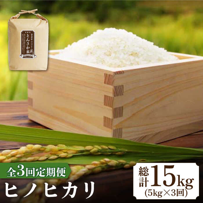 [南島原市産ヒノヒカリ]とんさか米 5kg×3回 定期便 / 米 令和5年産 ヒノヒカリ / 南島原市 / 林田米穀店 