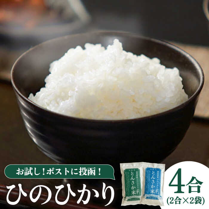 【南島原市産 ヒノヒカリ 】とんさか米 4合（約300g×2袋）/ 米 コメ こめ 令和5年産 ひのひかり 小分け ポスト投函 / 南島原市 / 林田米穀店[SCO013]