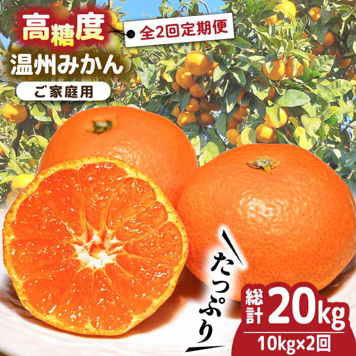 46位! 口コミ数「5件」評価「4」【2024年12月〜発送】【大満足！ 2回 定期便 】高糖度温州みかん約10kg （計約20kg） ミカン 蜜柑 甘い フルーツ 果物 九州･･･ 