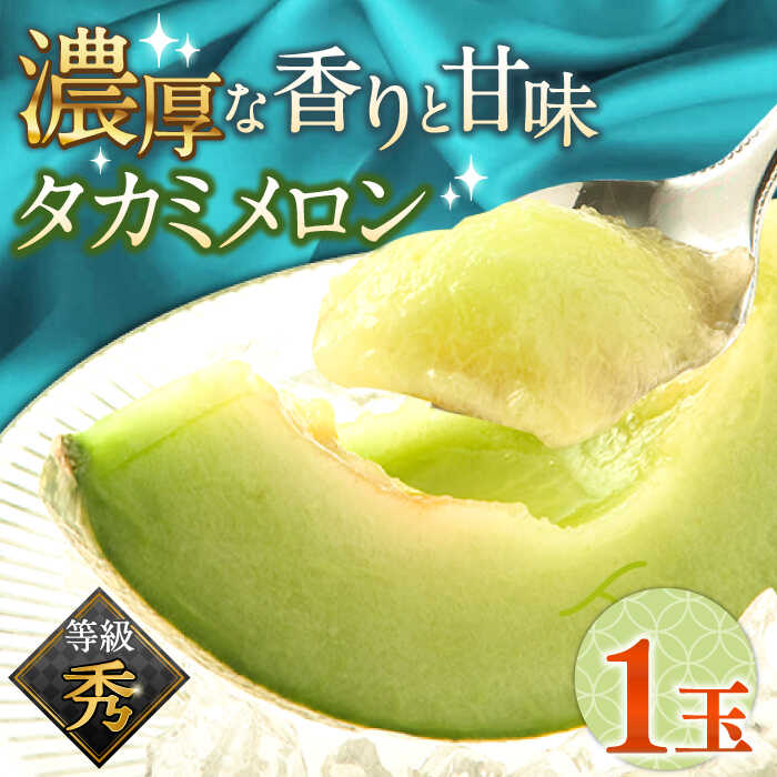 [2024年5月〜発送][さわやかな味! ]タカミメロン 1玉 (約1kg) 甘い フルーツ 九州 めろん 果物 / メロン 南島原市 / 南島原果物屋 