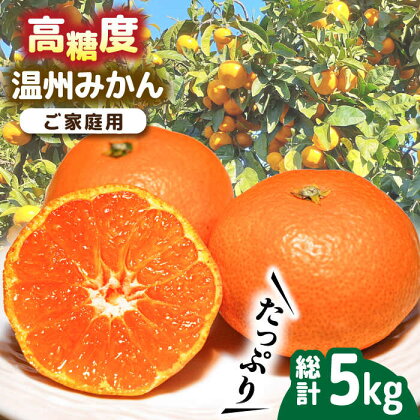 【2024年11月下旬〜発送】【高糖度】 温州みかん 約5kg 甘い フルーツ 九州 ミカン 蜜柑 果物 / みかん 南島原市 / 南島原果物屋 [SCV011]