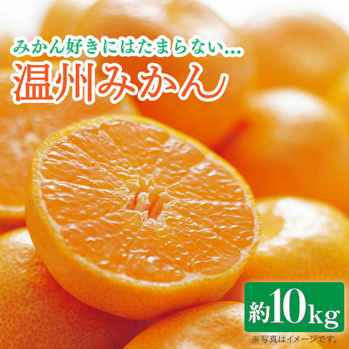 22位! 口コミ数「2件」評価「5」【2024年11月下旬〜発送】【高糖度】 温州みかん 約10kg 甘い フルーツ 九州 ミカン 蜜柑 果物 / みかん 南島原市 / 南島原･･･ 