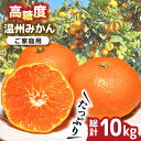 【ふるさと納税】【2025年11月下旬〜発送】【高糖度】 温州みかん 約10kg / みかん ミカン 蜜柑 長崎県産みかん 糖度 果物 くだもの フルーツ ふる...