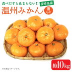 【ふるさと納税】【2024年11月下旬〜発送】【高糖度】 温州みかん 約10kg（傷もの） / みかん 甘い フルーツ 九州 ミカン 蜜柑 果物 訳アリ 訳あり / 南島原市 / 南島原果物屋 [SCV015]