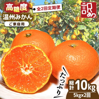 【2024年12月〜発送】【訳あり 2回定期便 】温州みかん約5kg（傷もの ） / みかん 甘い フルーツ 九州 ミカン 蜜柑 果物 フルーツ定期便 / 南島原市 / 南島原果物屋 [SCV018]