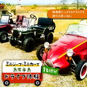 【ふるさと納税】ミニジープ ・ ミニカー で 島原半島 ドライブ 体験 (1名様分) / 南島原市 / ミナサポ [SCW015] 子供 家族 ファミリー カップル