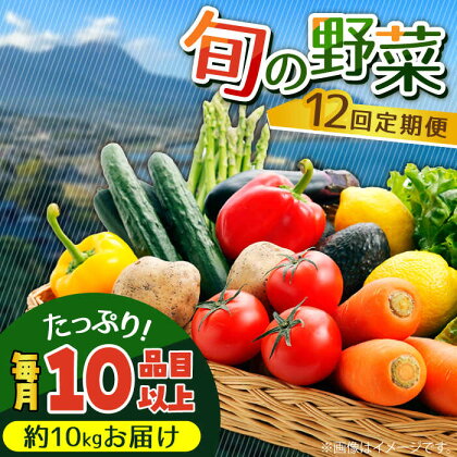 【12回定期便】地元の農家さんが収穫した旬のお野菜 詰め合わせセット 約10kg（10品目以上）/ 南島原市 / ミナサポ [SCW047]野菜 詰め合わせ セット