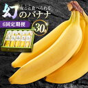 【ふるさと納税】【6回定期便】【皮ごと食べられる!】なかなかバナナ 5本〈7月〜9月は発送停止〉 / バナナ フルーツ 果物 定期便 フルーツ定期便 / 南島原...