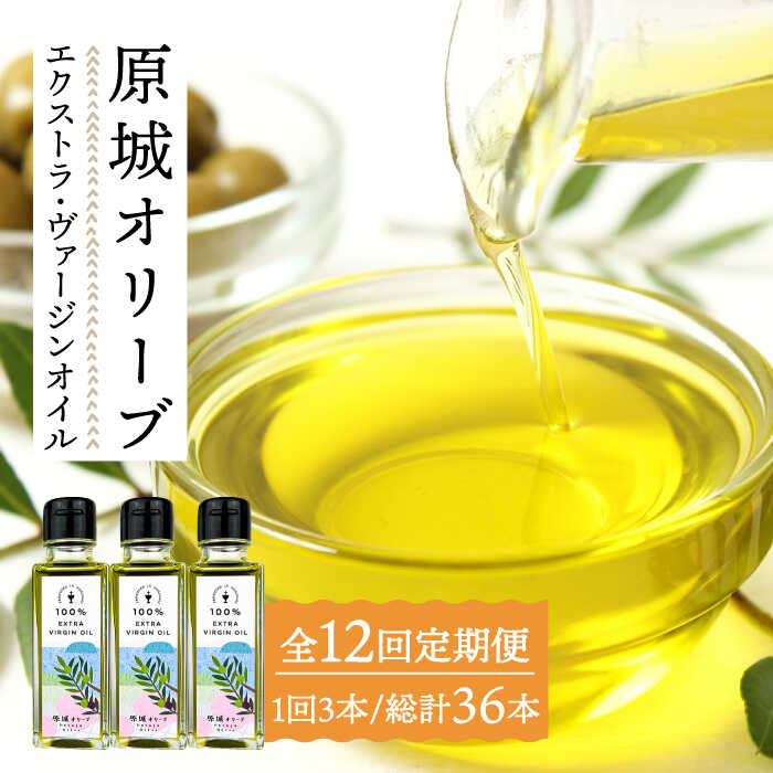 【ふるさと納税】【12回定期便】 原城 オリーブエクストラ・ヴァージンオイル 100ml 3本 / オリーブオイル オリーブ オイル 油 調味料 料理 イタリア...