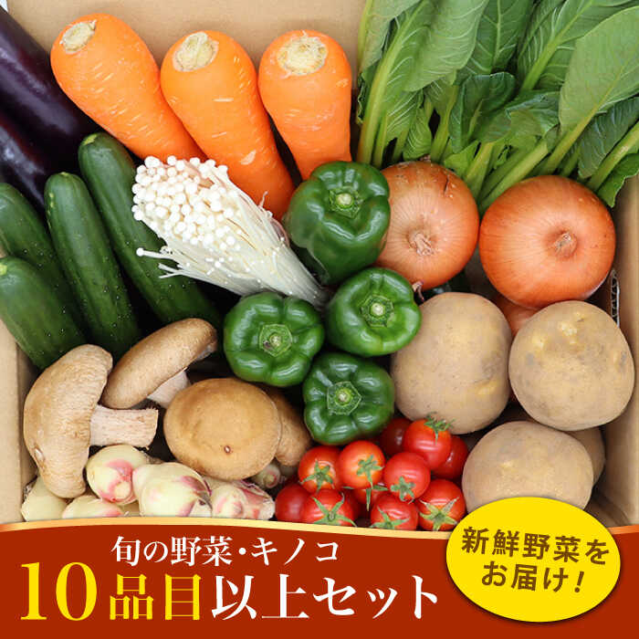 15位! 口コミ数「1件」評価「4」新鮮野菜 キノコ 10品目以上 詰め合わせ / おまかせ セット 南島原市 / 吉岡青果 [SCZ004] 季節 旬 春 夏 秋 冬 新鮮 ･･･ 