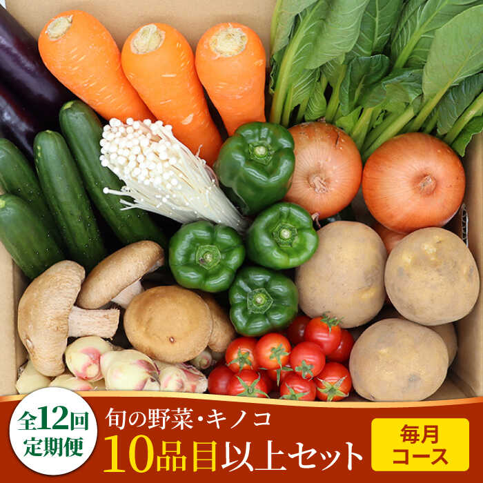 60位! 口コミ数「0件」評価「0」【12回定期便】野菜定期便 キノコをセット「12回（毎月）」お届け 10品目以上 詰め合わせ 12回 きのこ 新鮮 毎月 定期 旬 野菜セッ･･･ 