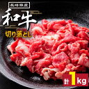 【ふるさと納税】長崎県産 和牛 切り落とし1kg / 牛肉 すき焼き しゃぶしゃぶ すき焼き肉 赤身 / 南島原市 / 高田牧場 [SDB004]