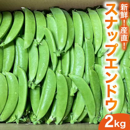 【新鮮 ！ 産直 】スナップ エンドウ 2kg / スナップエンドウ エンドウ豆 野菜 常温 旬の野菜 / 南島原市 / AOTASFARM [SDM001]