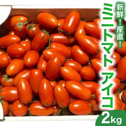 【新鮮 ！ 産直 】ミニトマト ( アイコ ) 2kg / トマト とまと 野菜 常温 / 南島原市 / AOTASFARM [SDM002]