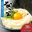 【ふるさと納税】【田中製麺】 島原 手延べ うどん なごみ 