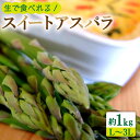 【ふるさと納税】【生で食べられる】スイート アスパラ L〜3L 約 1kg / アスパラ あすぱら アスパラガス 3L 増田農園 アスパラガス 甘い / 南島原...