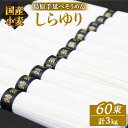 【ふるさと納税】国産小麦 100% 島原手延べ そうめん し