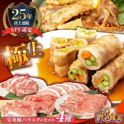 豚肉 とんかつ バラ もも 計3000g やっちゃおいしか 芳寿豚 バラエティ セット / 豚 肉 ロース 小分け 詰め合わせ / 南島原市 / 芳寿牧場 [SEI005]