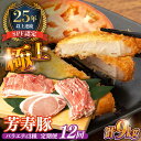 【ふるさと納税】豚肉 とんかつ バ