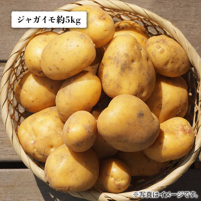 【ふるさと納税】ほかにわない Only Oneのびっくり箱 / 野菜 じゃがいも 玉ねぎ にんにく わかめ あごだし 冷やし中華 酢 木工マグネット キーホルダー / 南島原市 / ほかにわ共和国八雲寮 [SEQ002]