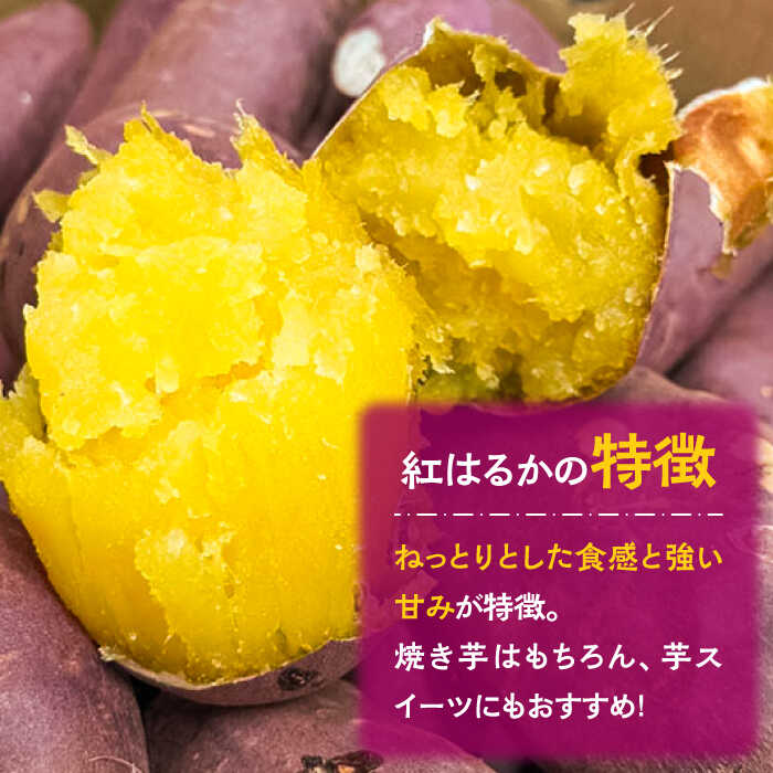 【ふるさと納税】【数量限定】【ねっとり甘い熟成サツマイモ】冷凍焼き芋（紅はるか） 30本(S～M) / さつまいも やき芋 冷凍 小分け 個包装 冷やし焼き芋 / 南島原市 / 池田海陸物産[SEW003]