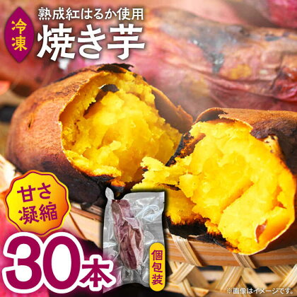 【数量限定】【ねっとり甘い熟成サツマイモ】冷凍焼き芋（紅はるか） 30本(S～M) / さつまいも やき芋 冷凍 小分け 個包装 冷やし焼き芋 / 南島原市 / 池田海陸物産[SEW003]