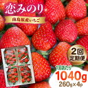 【ふるさと納税】【2回定期便】南島原産 いちご 「恋みのり」約260g×4P / イチゴ 苺 フルーツ 果物 / 南島原市 / あゆみfarm[SFF002]