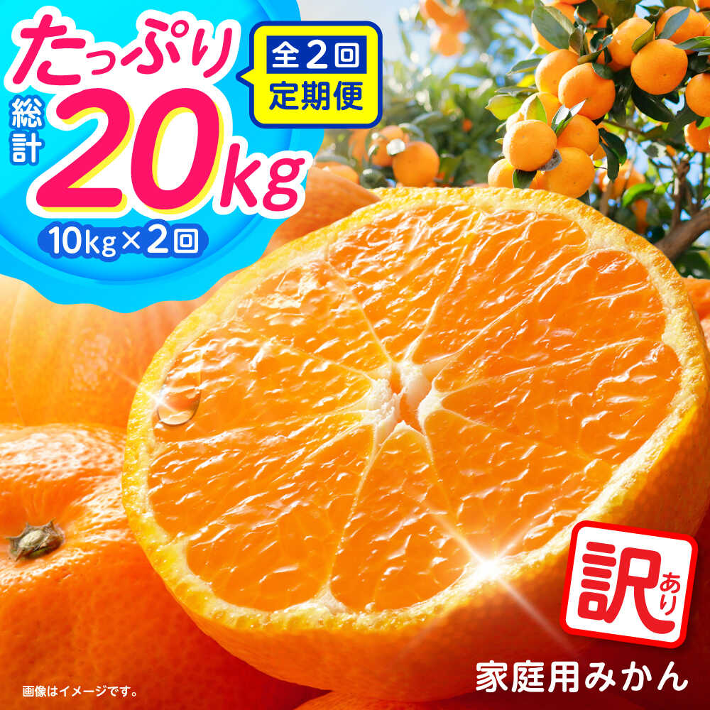 [2025年12月〜発送][2回定期便]家庭用 みかん 約10kg(計約20kg) / ミカン 蜜柑 果物 フルーツ / 南島原市 / はじめ農園